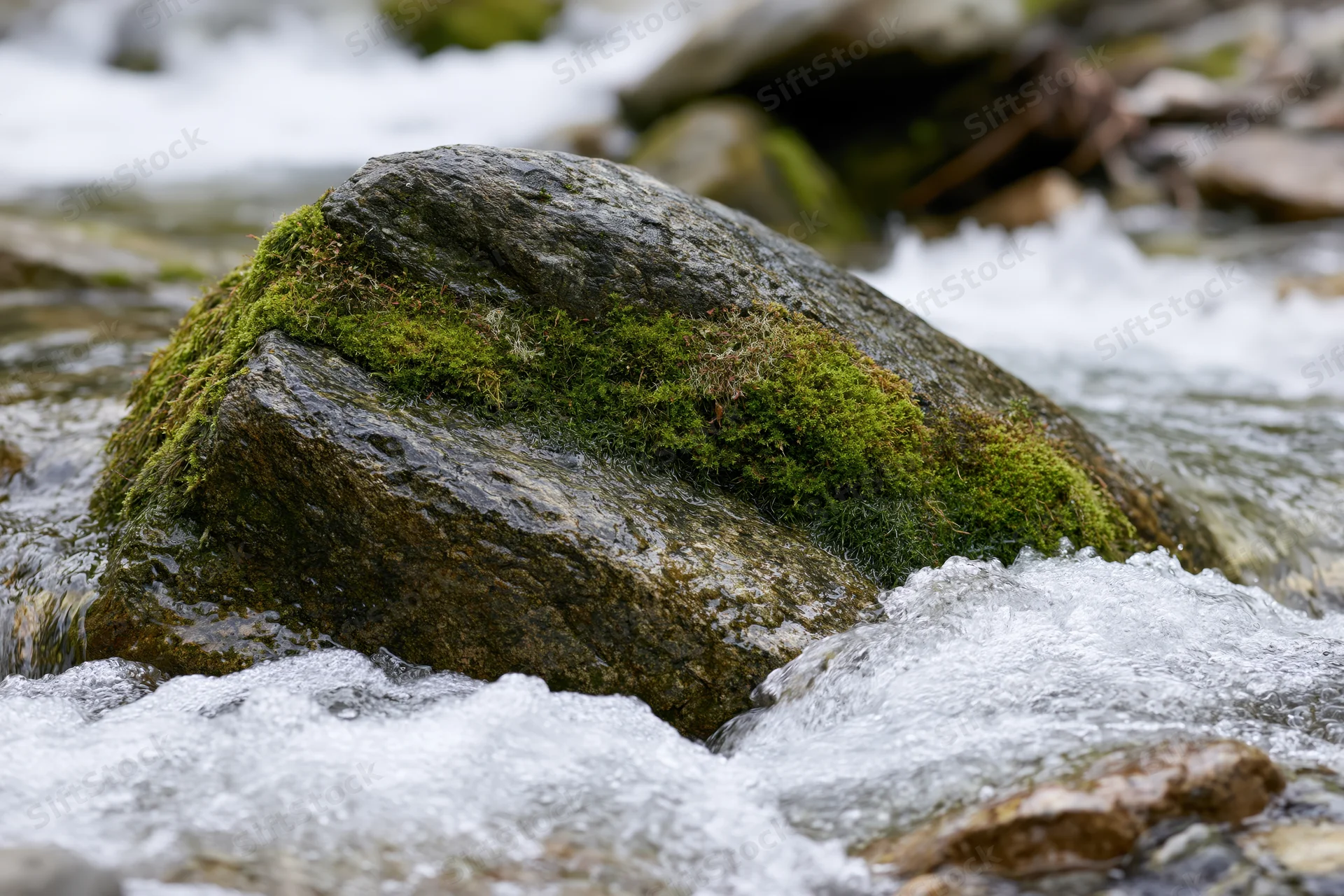 Moss-covered rock in a rushing stream surrounded by white water