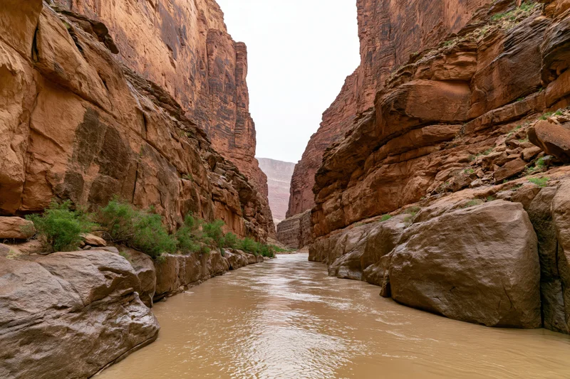 Muddy river flowing through narrow desert canyon with towering sandstone cliffs
