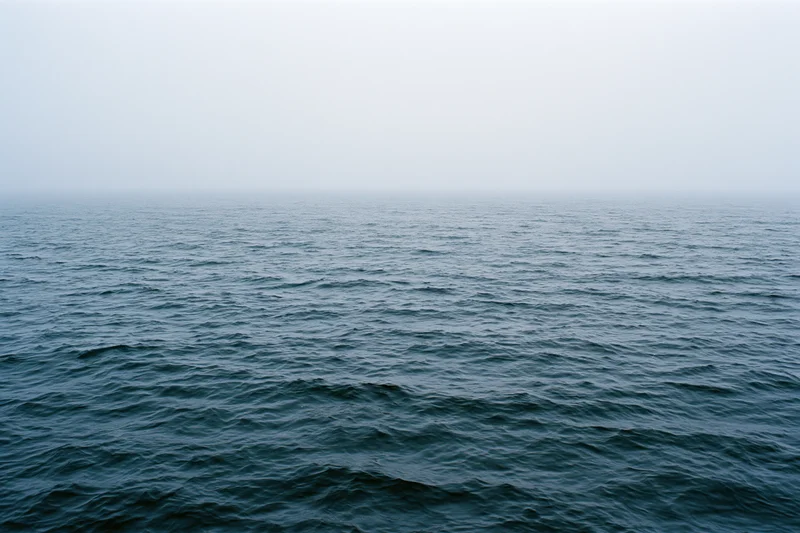 Open ocean surface with small wind-driven ripples under overcast sky