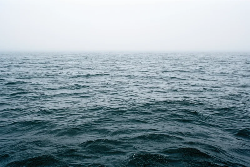 Open ocean surface with small wind-driven ripples stretching to the horizon under an overcast sky