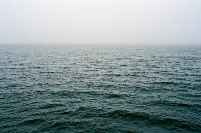 Open ocean surface with small wind-driven ripples under overcast sky