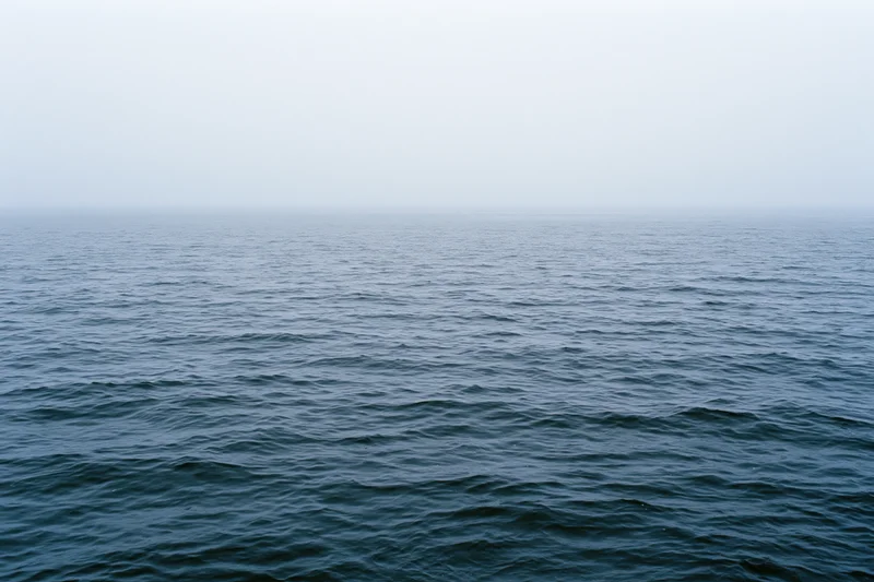 Open ocean surface with small wind-driven ripples under overcast sky