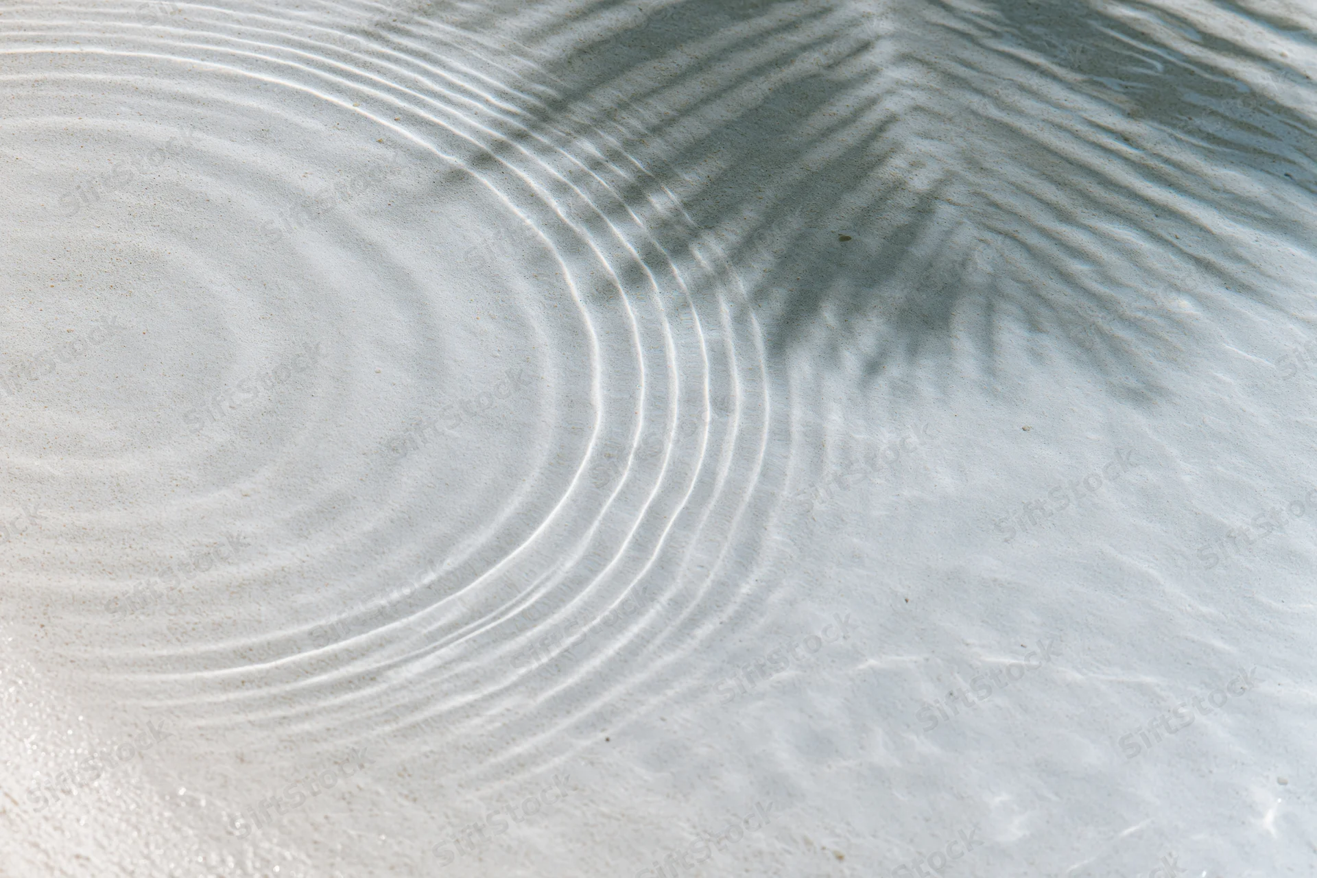 Shallow clear water over white sand with ripples and palm shadow from above