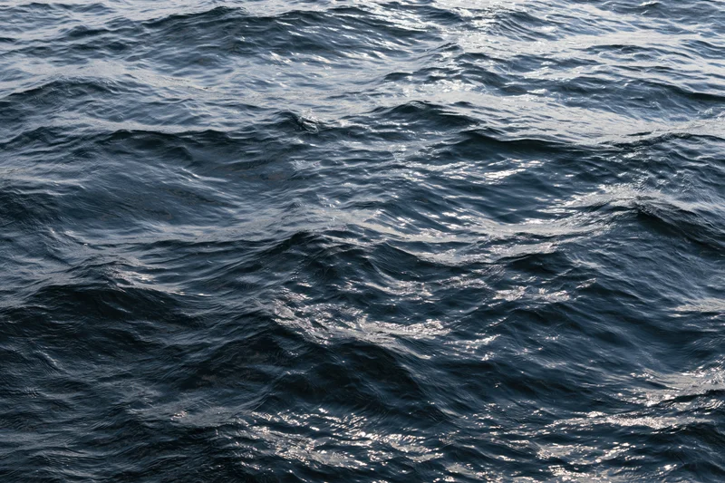 Overhead view of gently rippling dark ocean surface with light reflections