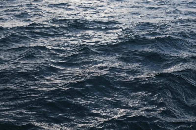 Overhead view of gently rippling dark ocean surface filling the frame
