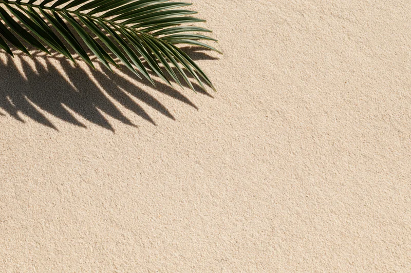 Palm frond casting shadow on sandy surface in upper left corner