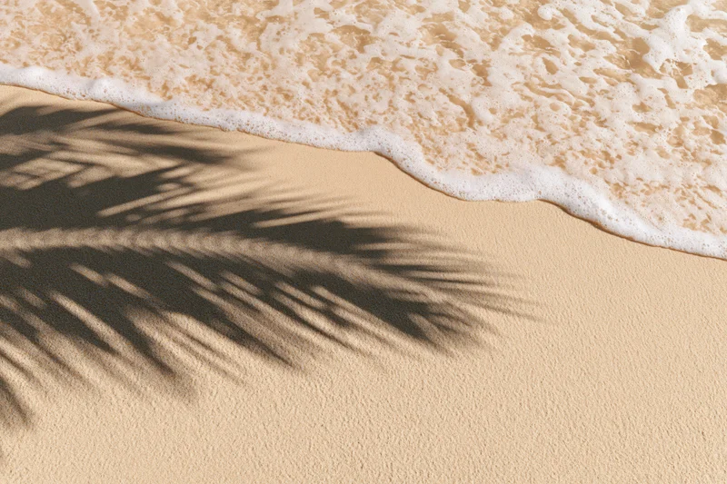 Palm shadow on wet sand at ocean shoreline