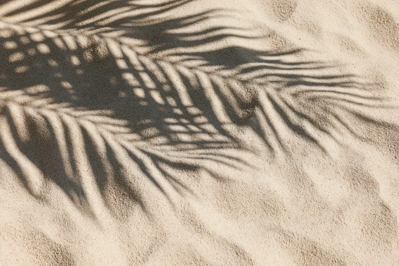 Palm leaf shadows cast across fine beach sand in a tropical outdoor setting