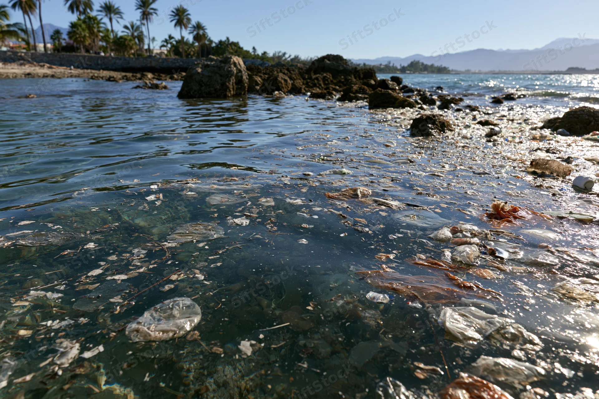 Plastic debris floating densely in shallow ocean water near rocky shoreline with palm trees and mountains in background