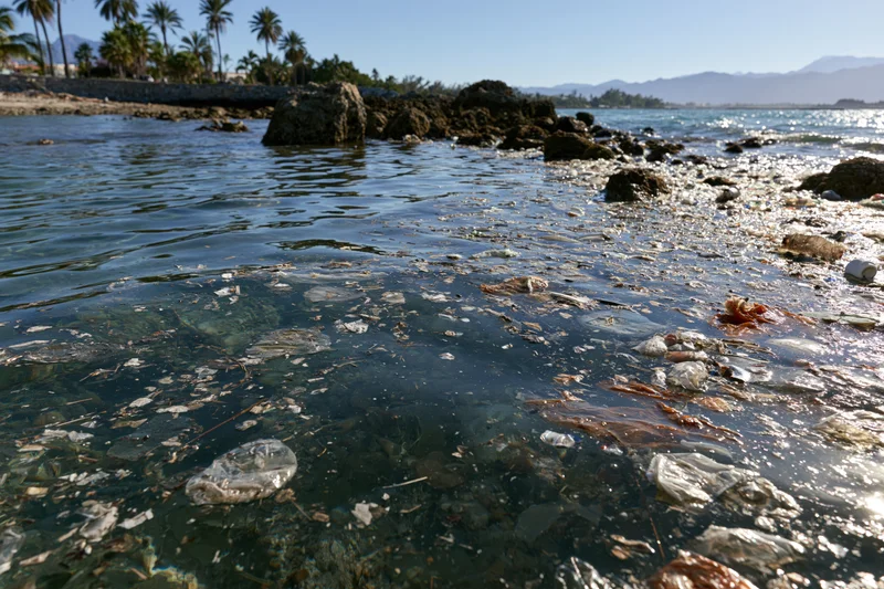 Plastic debris floating densely in shallow ocean water near rocky shoreline with palm trees and mountains in background