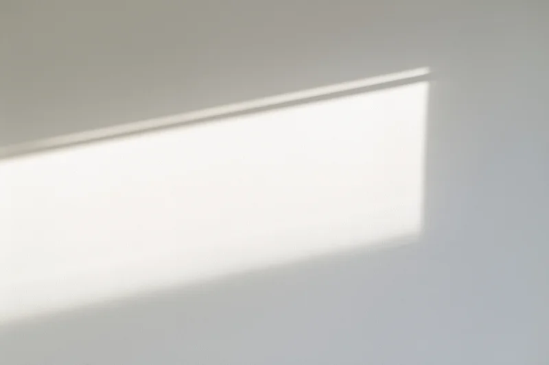 Rectangular patch of bright afternoon sunlight on a white interior wall