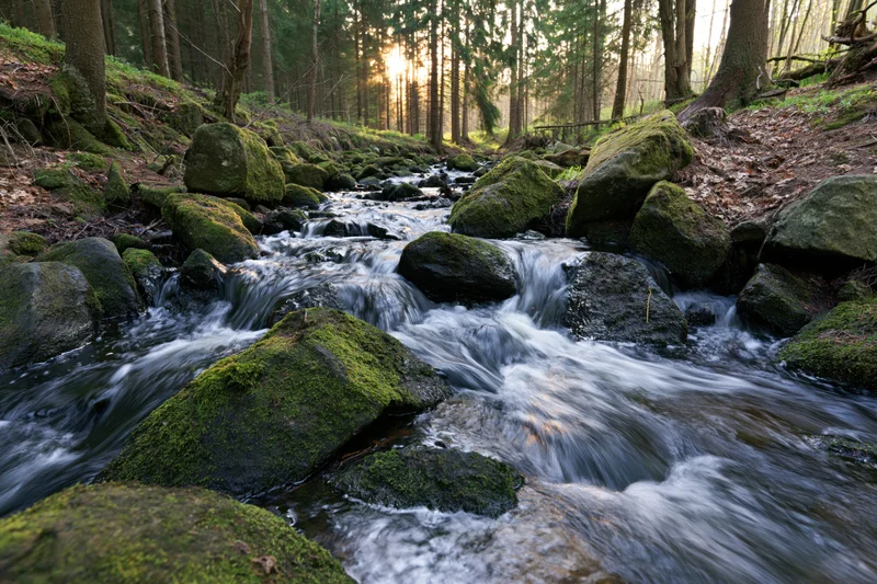 Stream cascading over moss-covered boulders in a forest at daytime