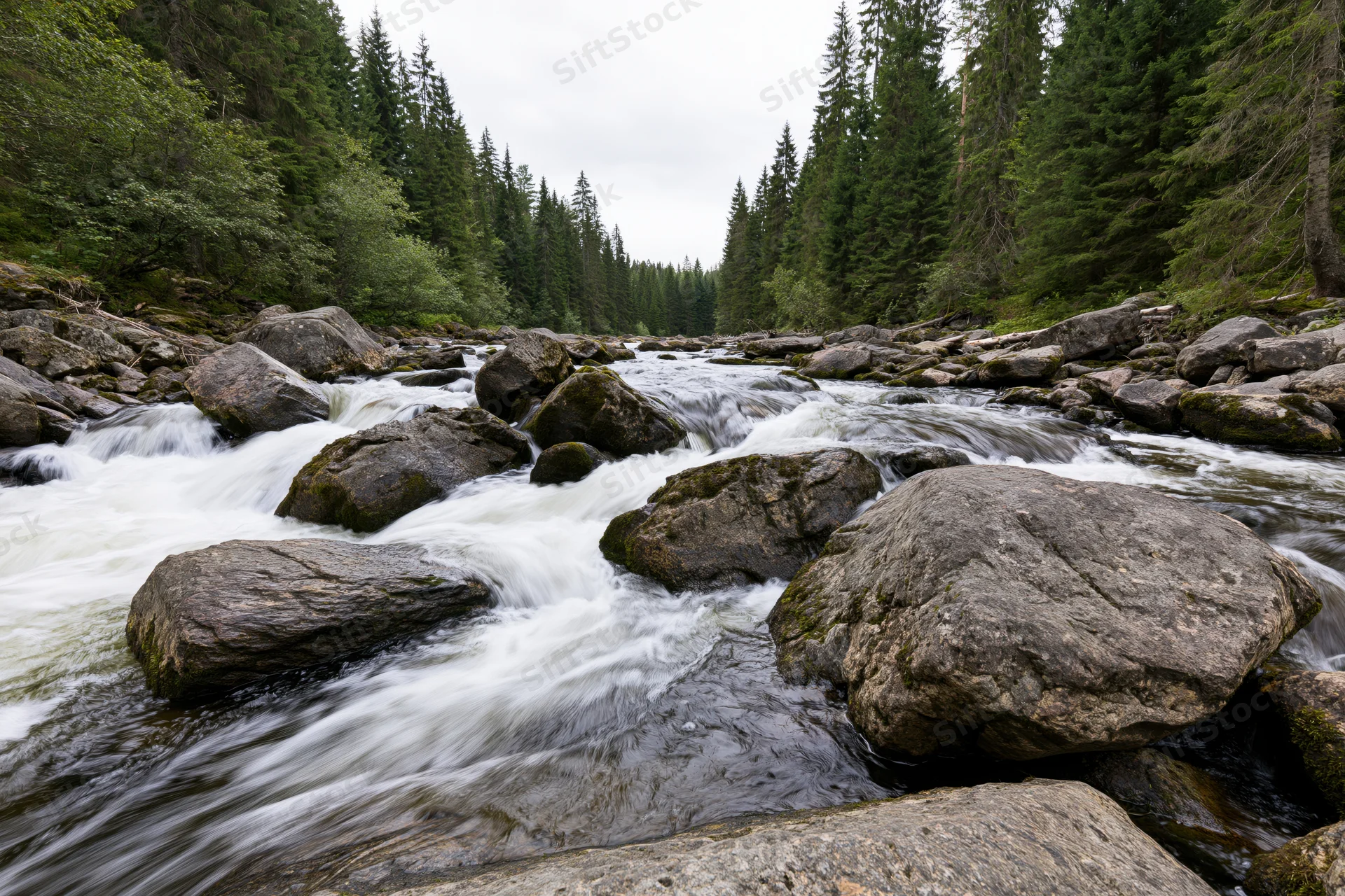 Fast-flowing river cascading over rocks in a forested mountain valley