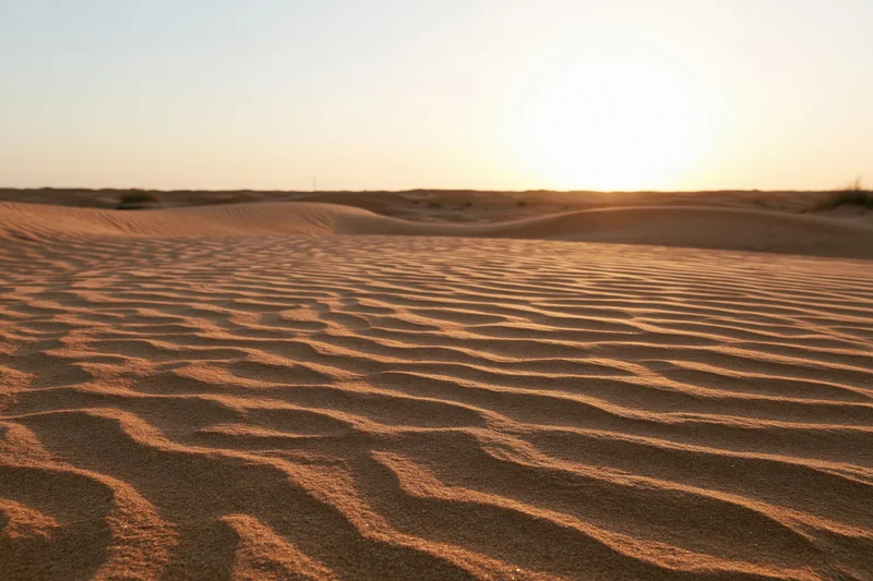 Rolling sand dunes stretching to a flat desert horizon at sunset