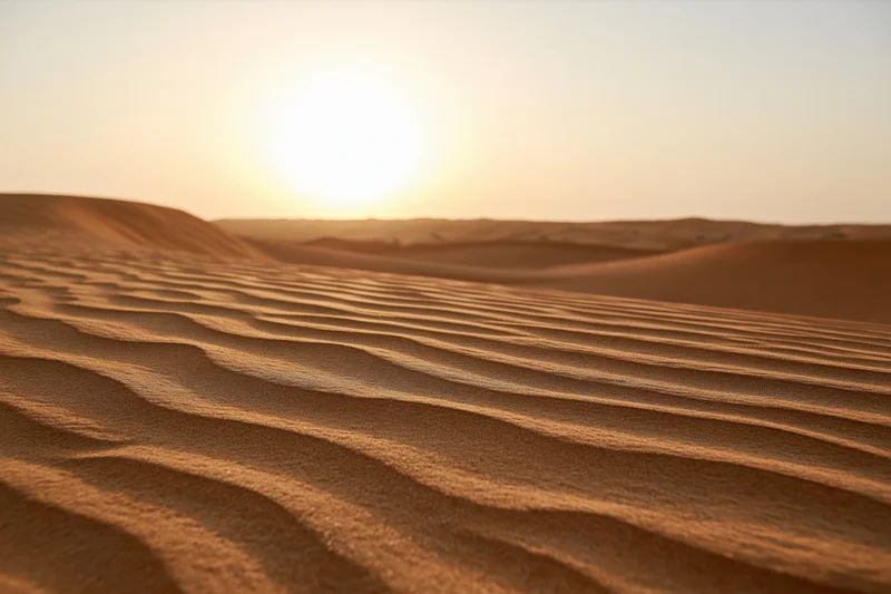 Rolling sand dunes stretching to a flat desert horizon at sunset
