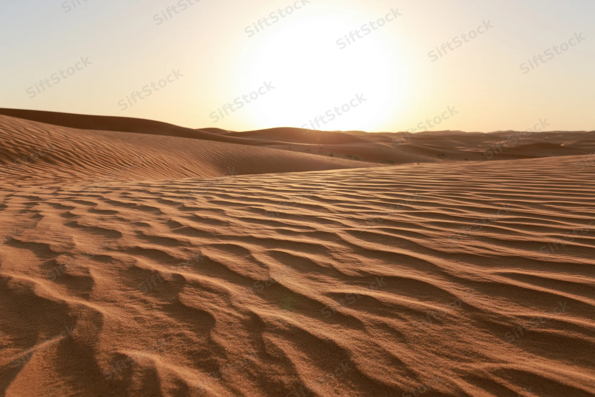 Rolling sand dunes stretching to a flat desert horizon under a bright sun