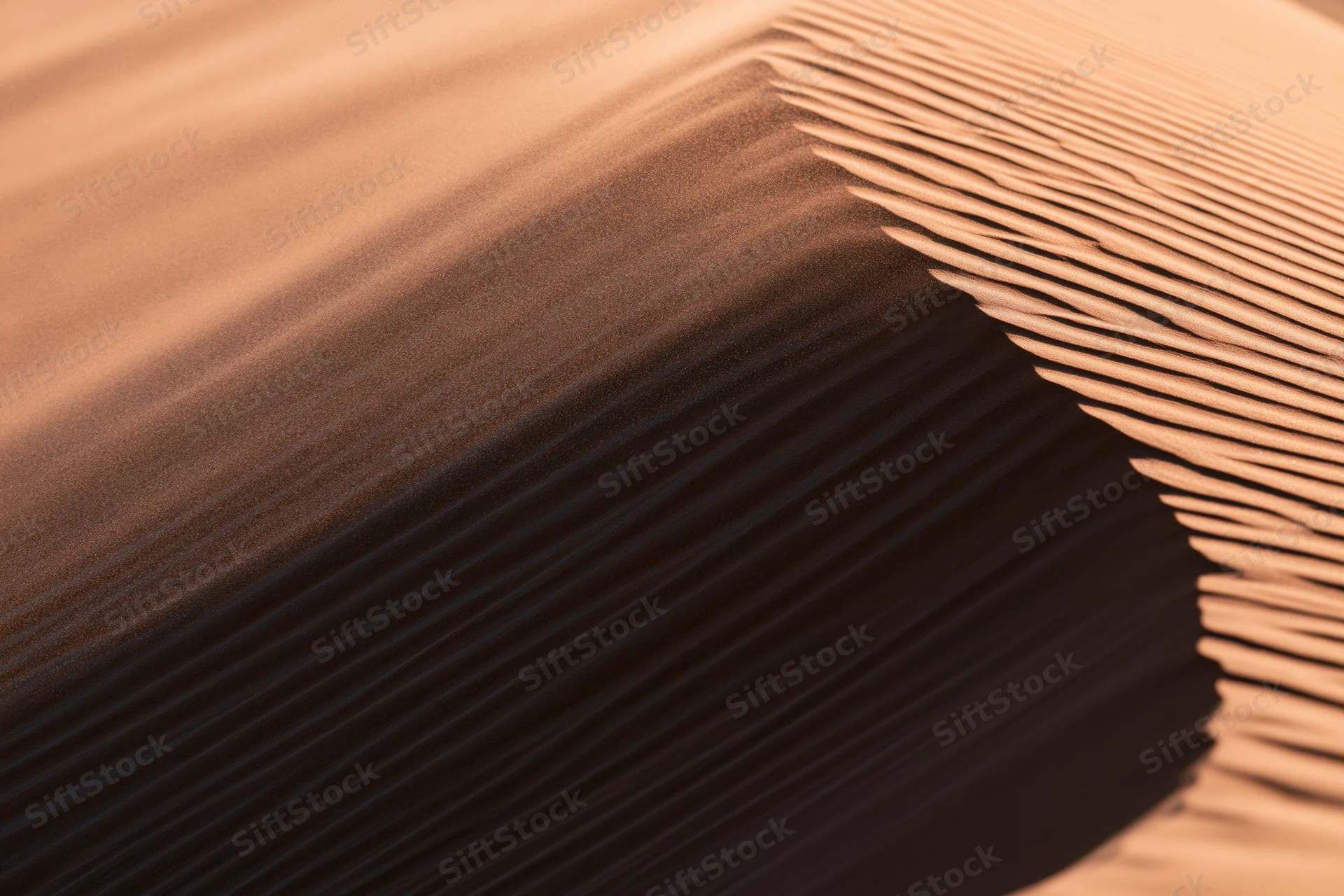 Windblown sand grains moving off a sharp ridge on a desert dune