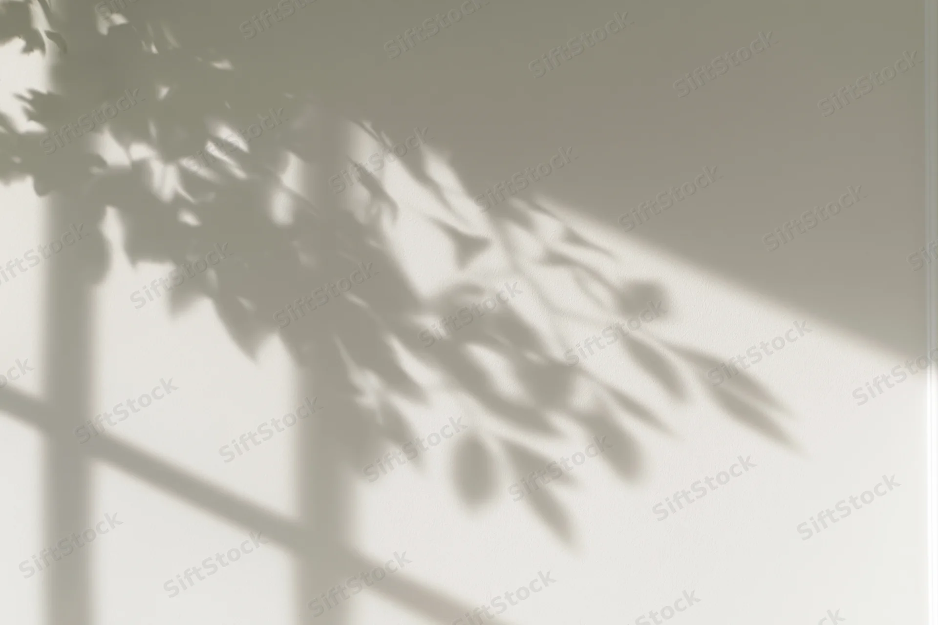Shadow of a leafy plant branch and grid window frame cast on a light wall indoors