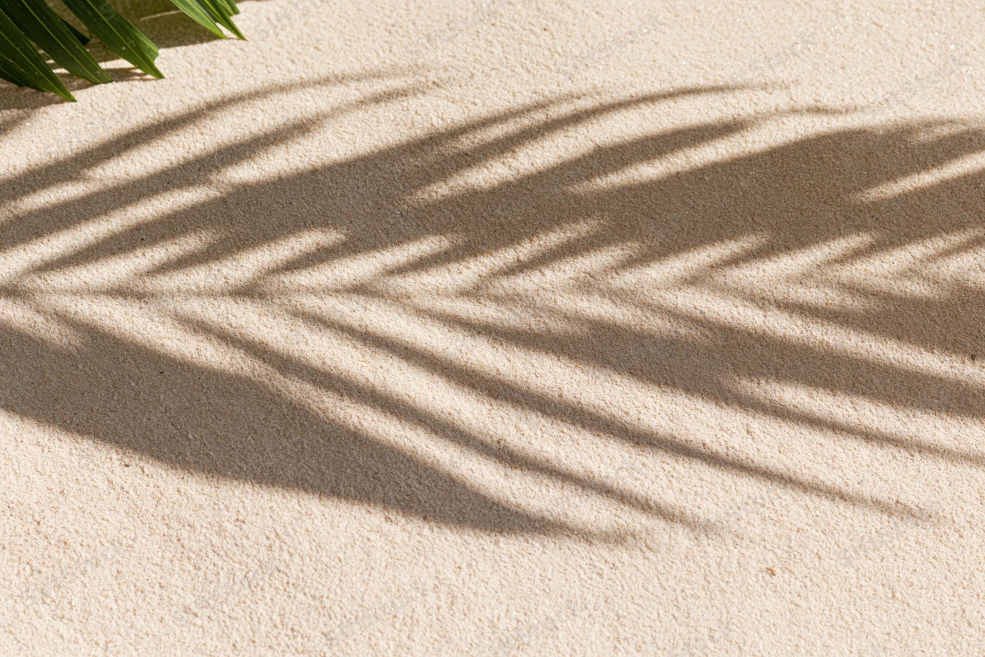 Shadow of a palm frond on smooth dry beach sand under sunlight