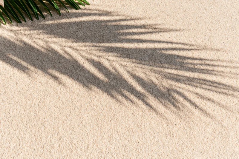 Palm frond shadow on smooth beach sand with copyspace