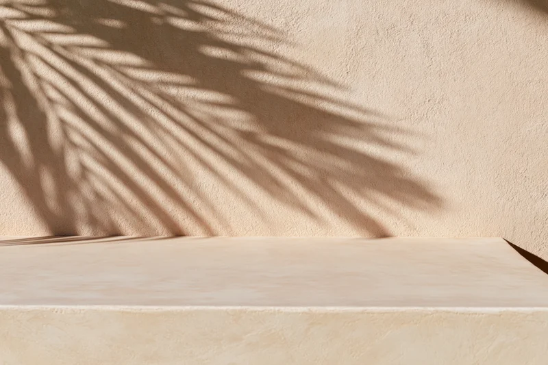 Shadow of palm leaf cast diagonally across beige textured wall above empty surface