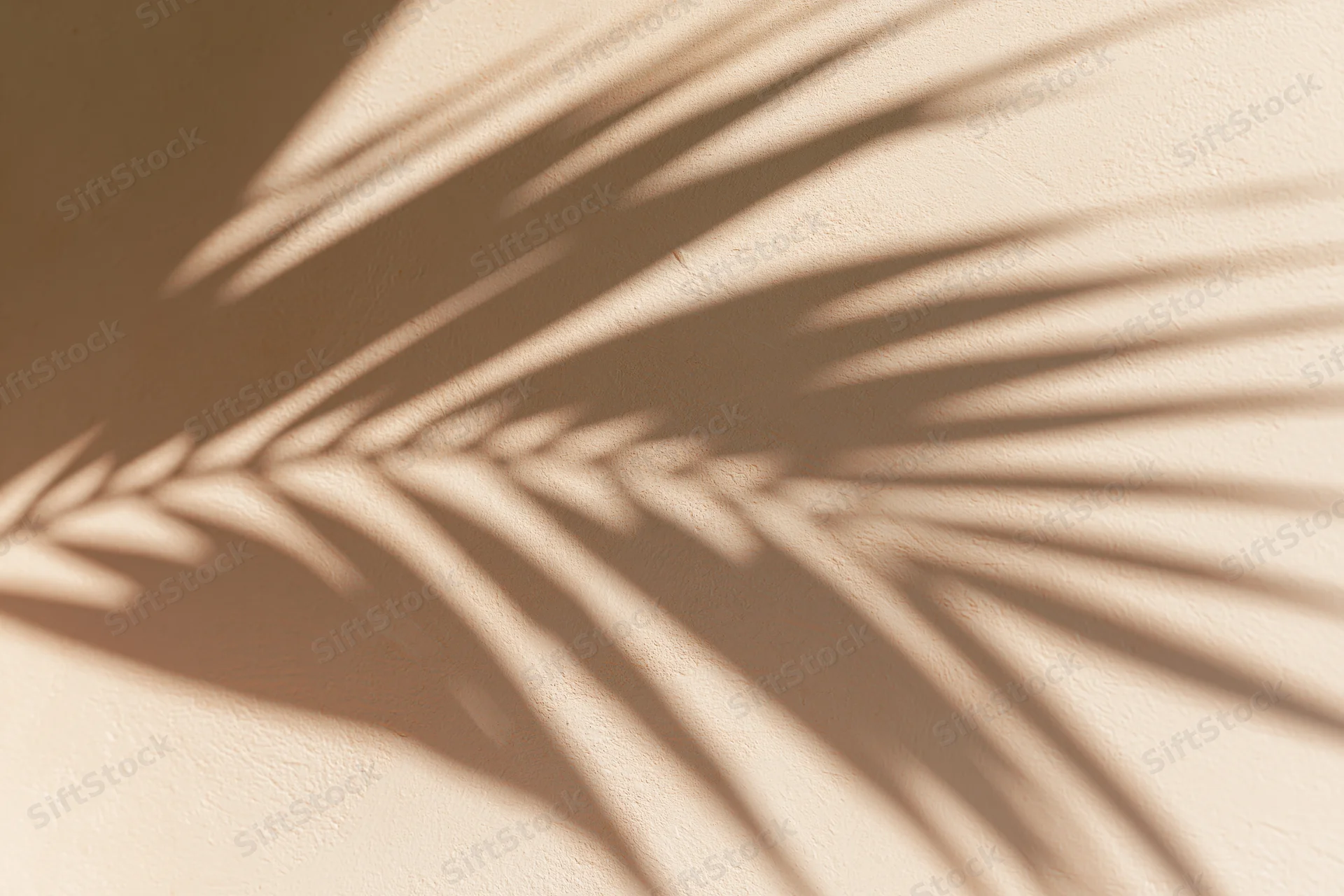 Shadow of a tropical palm leaf cast across a smooth beige wall