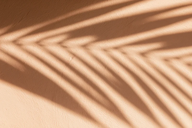 Shadow of a tropical palm leaf cast across a smooth beige wall