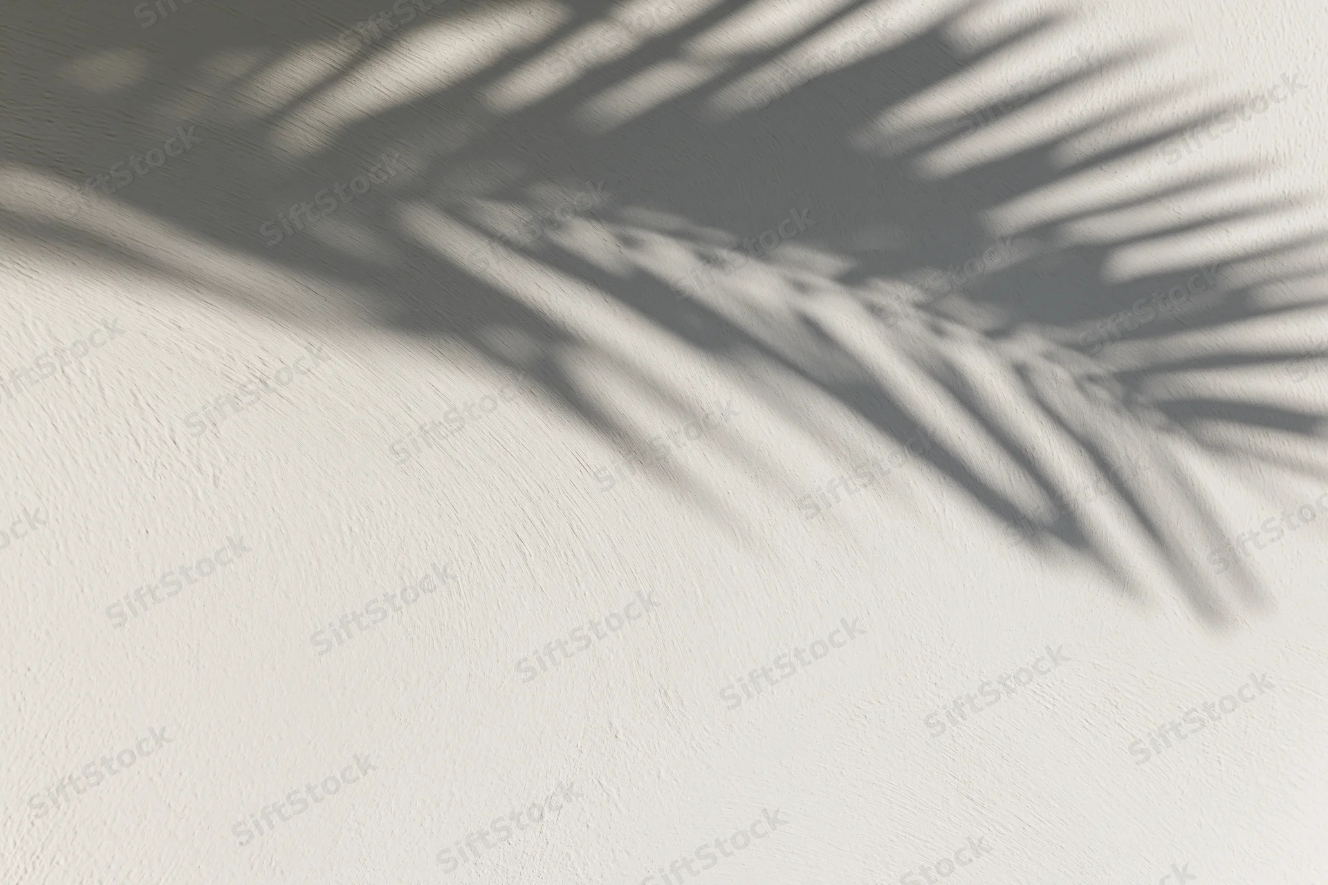 Shadow of a tropical palm leaf on a smooth white wall