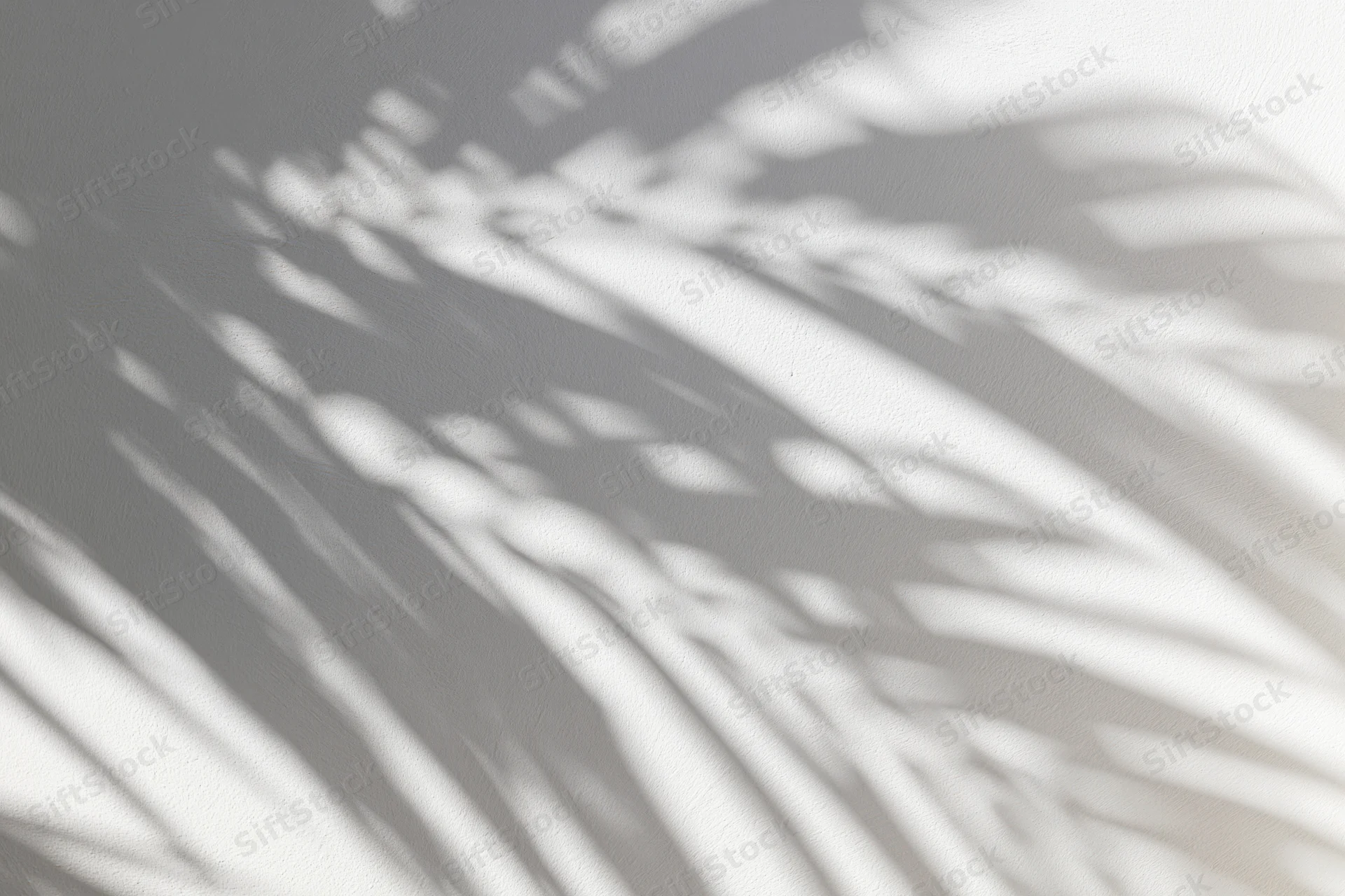 Shadow of overlapping palm fronds cast across a white wall