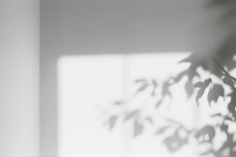 Leafy plant shadows cast on a wall near a window in a bright indoor space