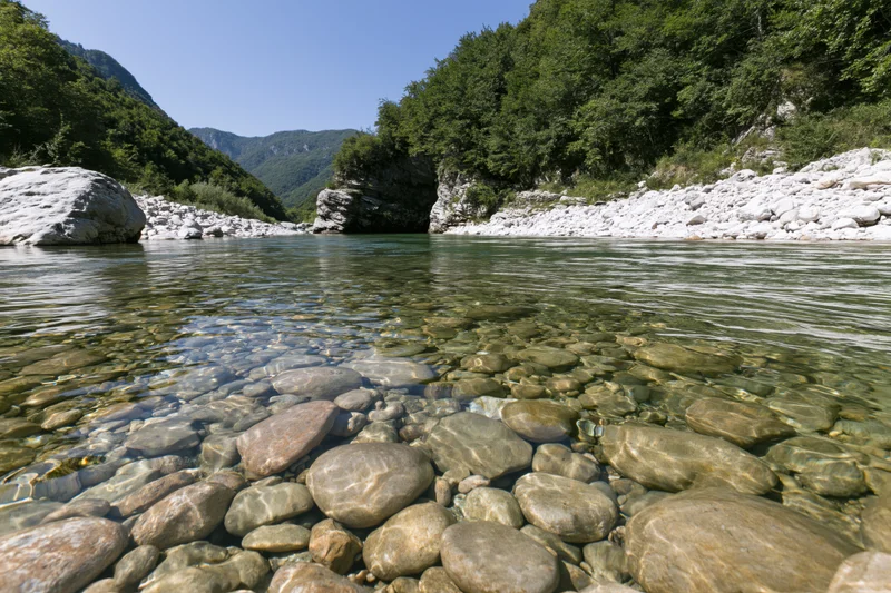 Shallow clear mountain river with smooth rounded stones visible beneath the surface in a forested valley