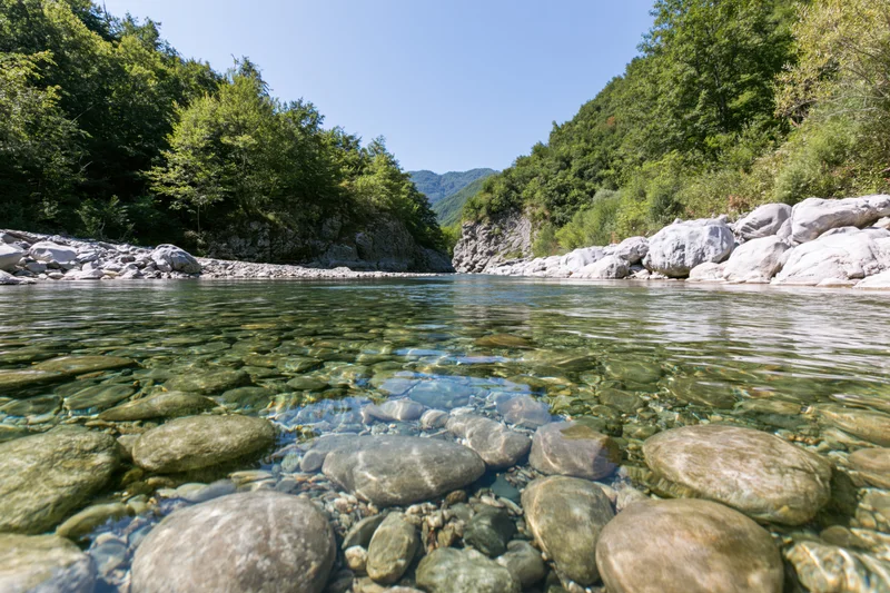 Clear shallow mountain river flowing over smooth rounded stones surrounded by dense green forest and rocky banks under bright blue sky