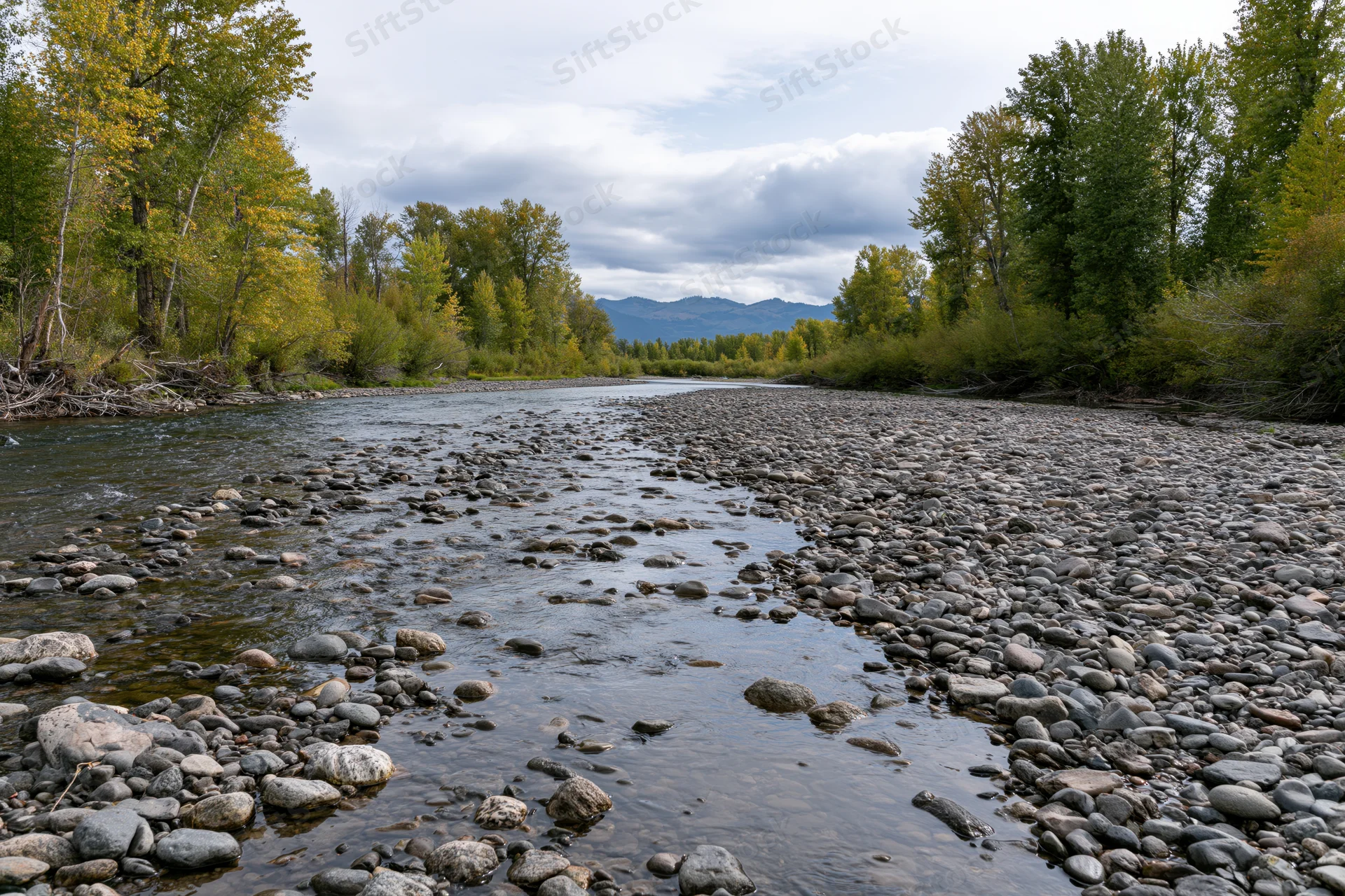 Shallow rocky river flowing through a forested valley with mountains in the distance