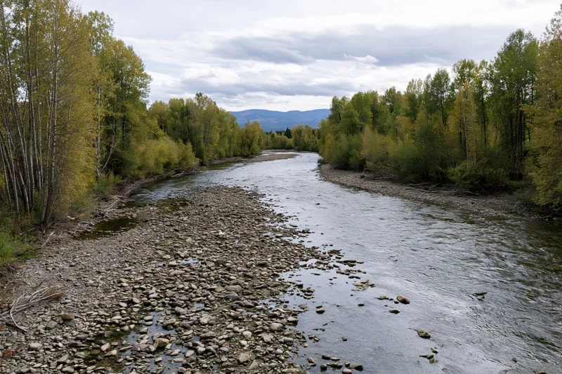 Shallow rocky river flowing through a forested valley with autumn trees under an overcast sky