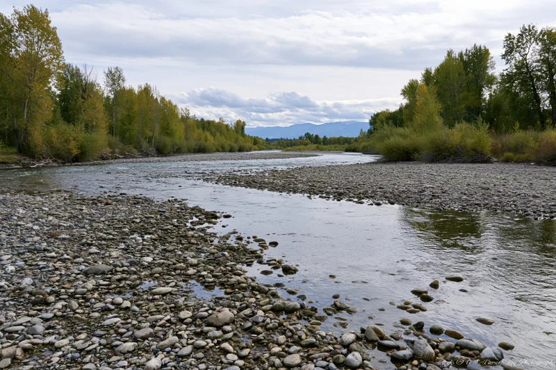 Shallow rocky river flowing through a wide valley lined with autumn trees under an overcast sky