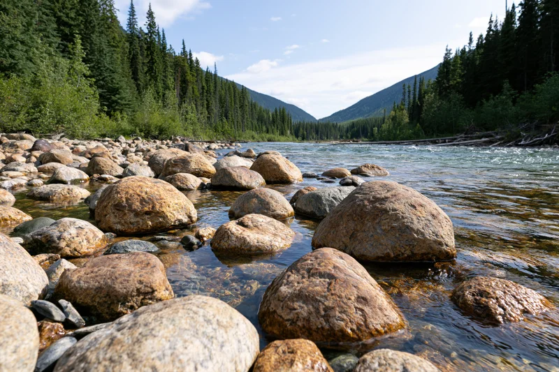 Shallow rocky river flowing through a forested mountain valley with clear water and boulders in the foreground
