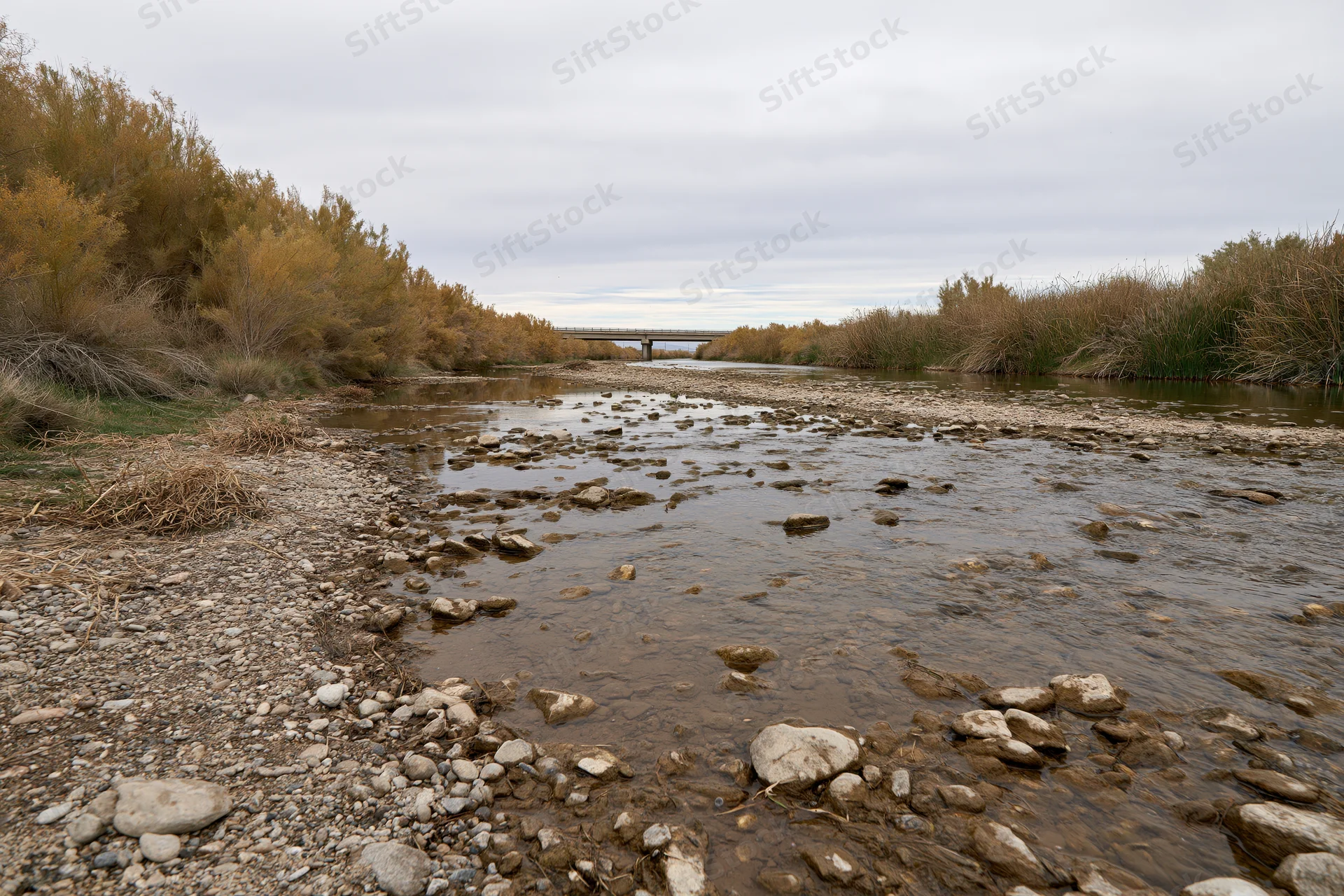 Shallow rocky river flowing through arid scrubland landscape with distant bridge under overcast sky