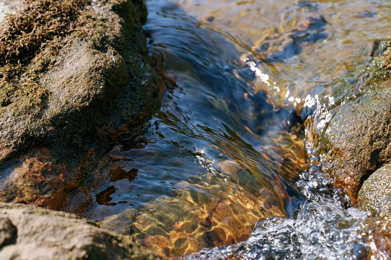 Clear water flowing over sandstone rocks in a shallow stream