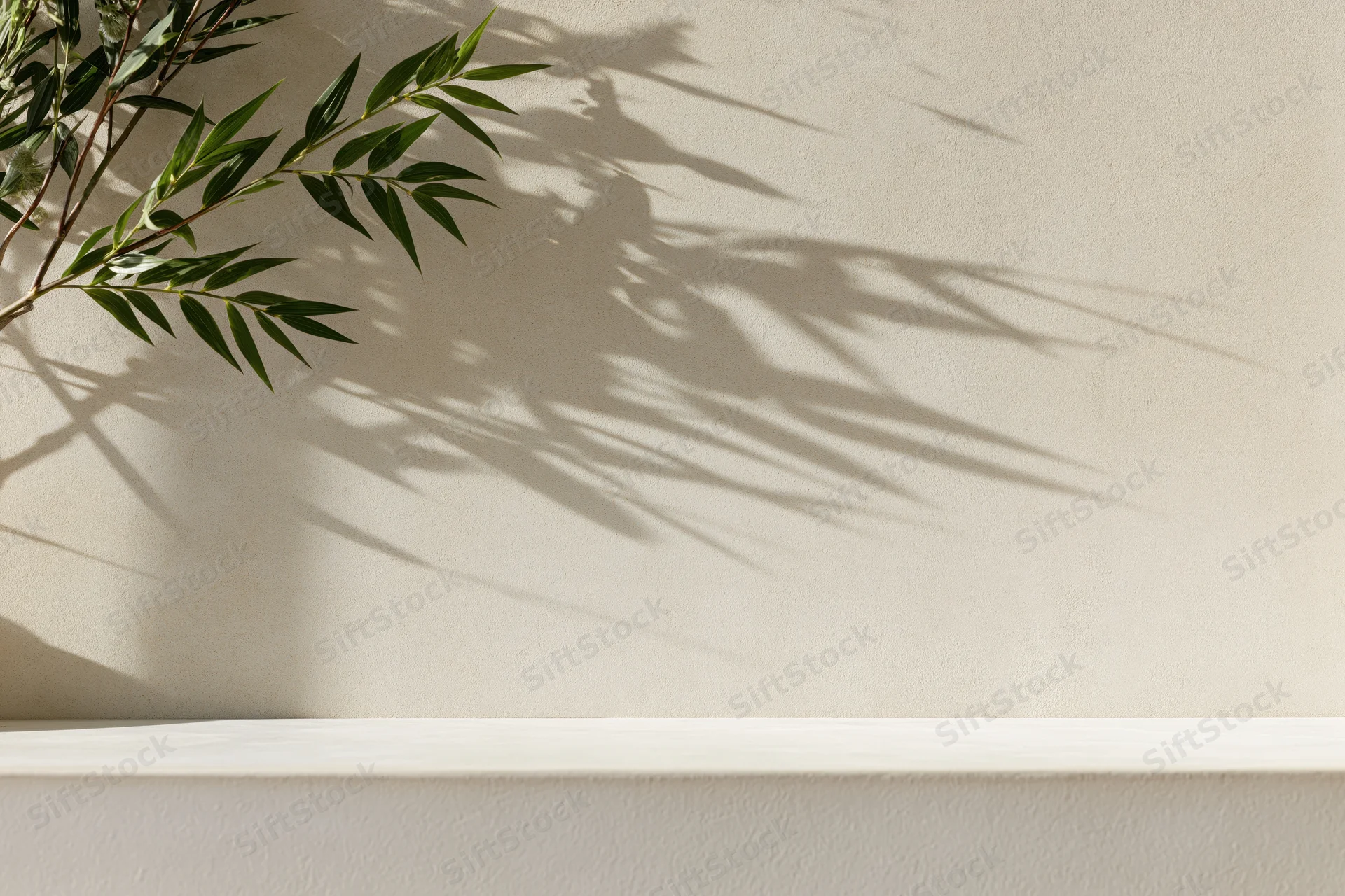 Slender green plant branches casting shadows on a beige wall above a white shelf