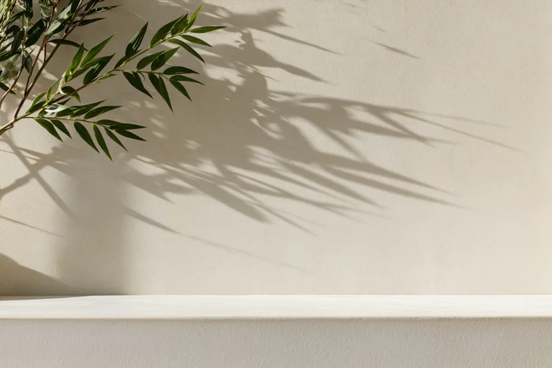 Slender green plant branches casting shadows on a beige wall above a white shelf