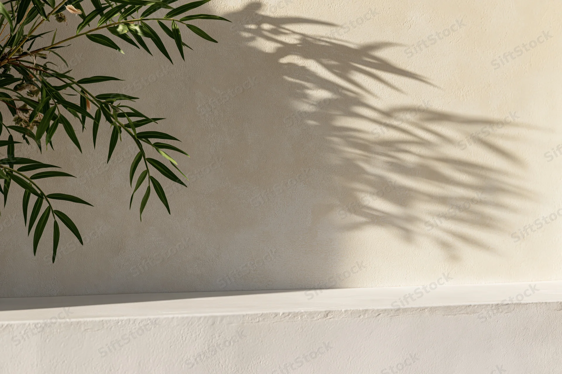 Slender green plant branches casting leafy shadows on a textured beige wall