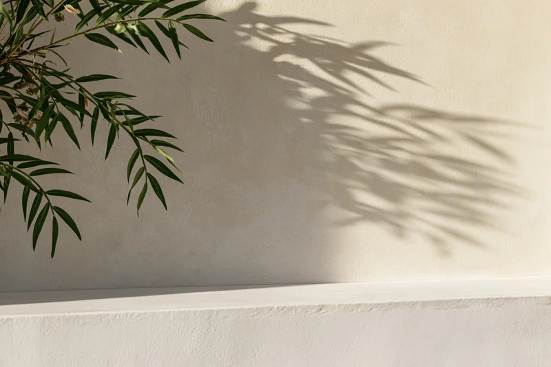 Slender green plant branches casting leafy shadows on a textured beige wall