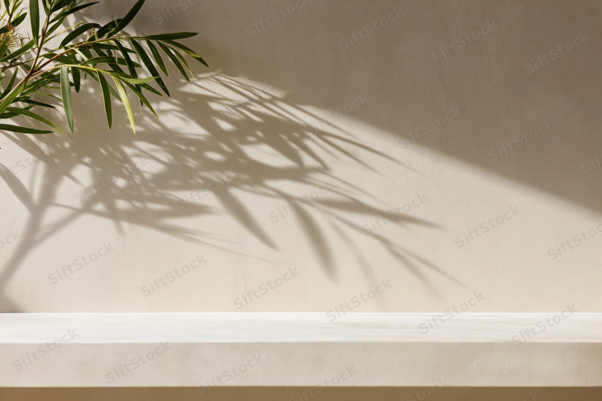 Slender green plant branches casting leafy shadows on a beige wall above a white shelf