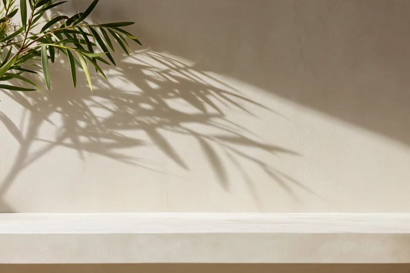 Slender green plant branches casting leafy shadows on a beige wall above a white shelf