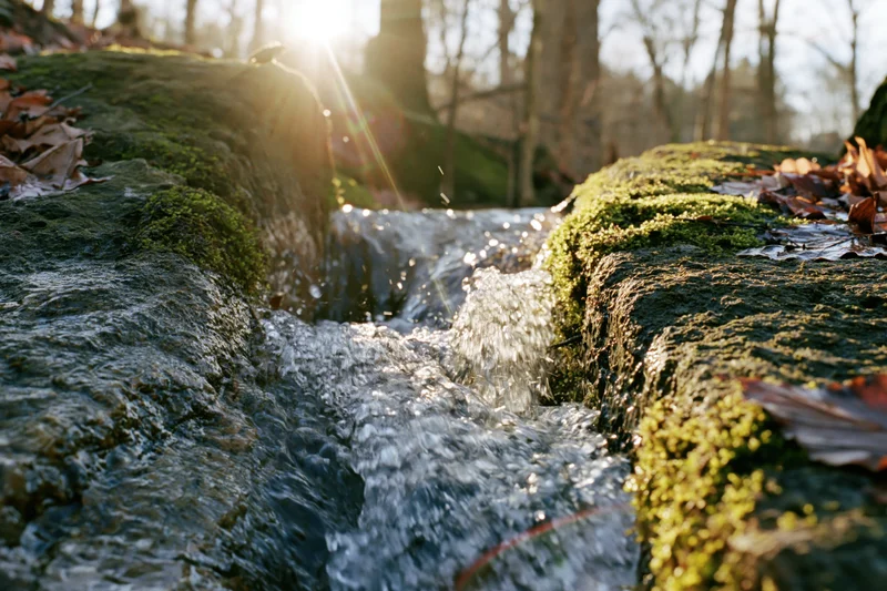 Small forest stream rushing between moss-covered rocks in sunlight