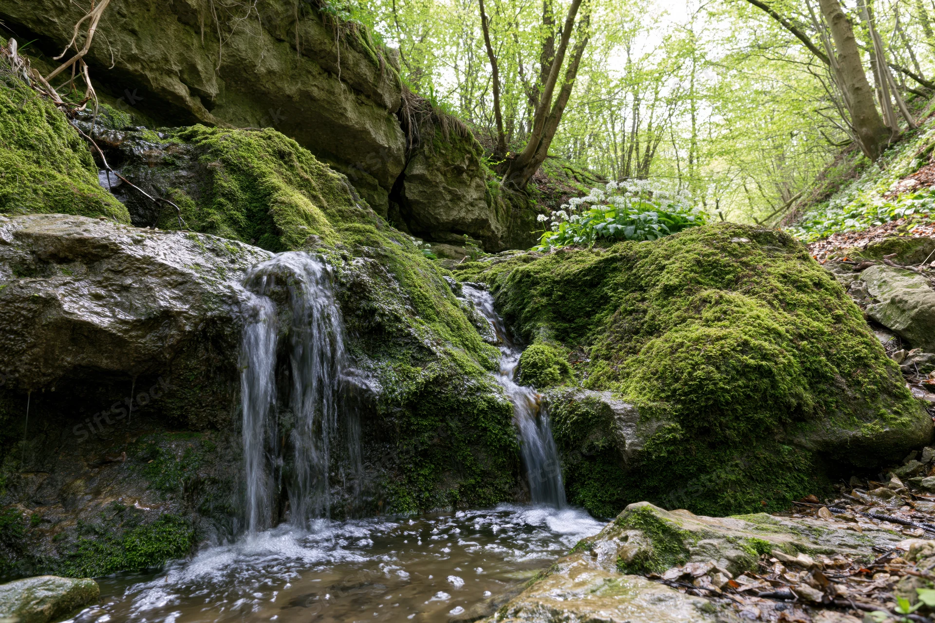 Small waterfall cascading over moss-covered limestone rocks in a green woodland forest