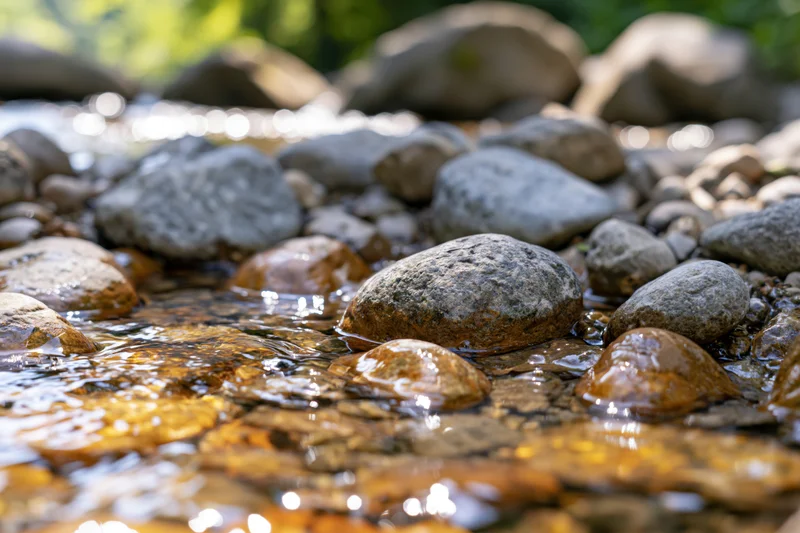 Smooth river pebbles half-submerged in shallow clear stream with sunlight reflecting on water surface