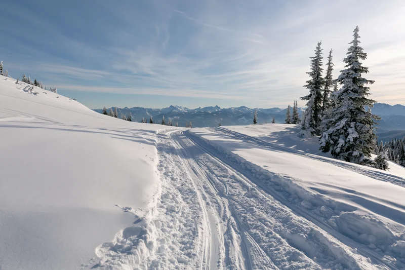 Groomed ski trail winding through snow-covered alpine landscape with evergreen trees and distant mountains under clear blue sky