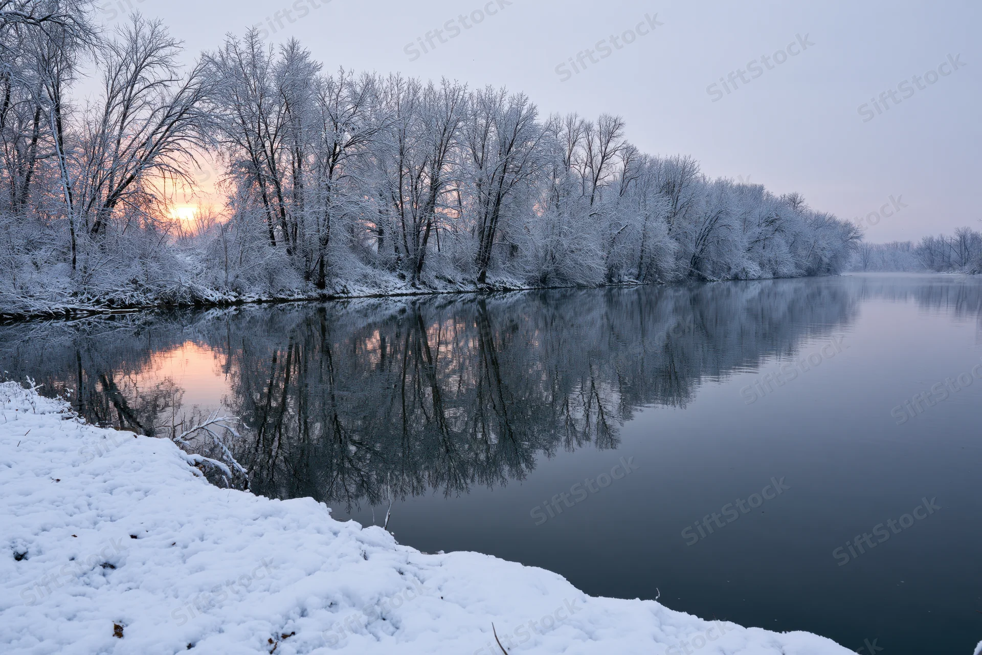 Snow-covered trees reflected in calm river at sunset