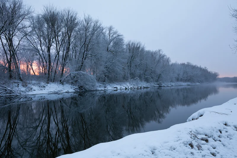 Snow-covered trees reflected in calm river at twilight